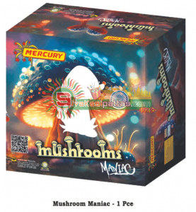MUSHROOM PNG_amu